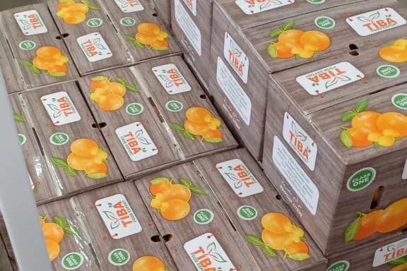 Pallets staged on the Tiba Food packhouse floor