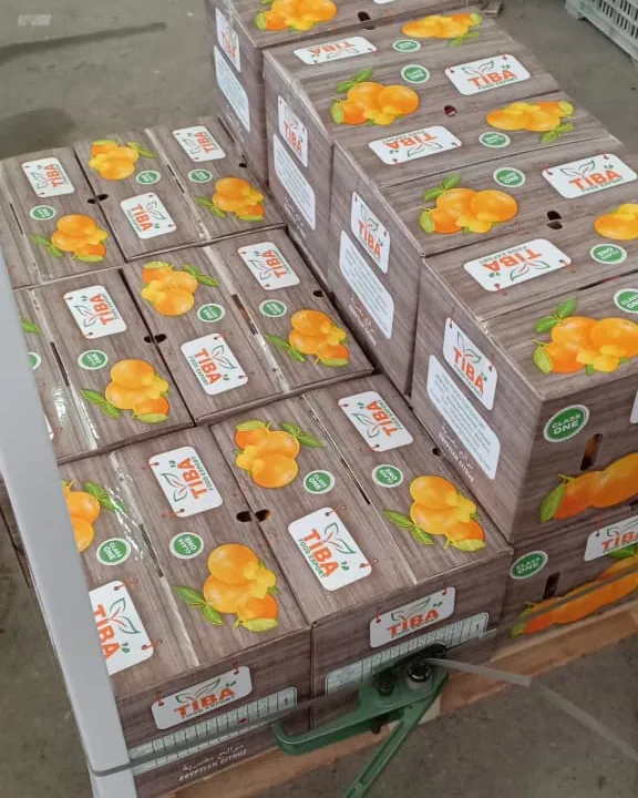 Pallets in the cold store