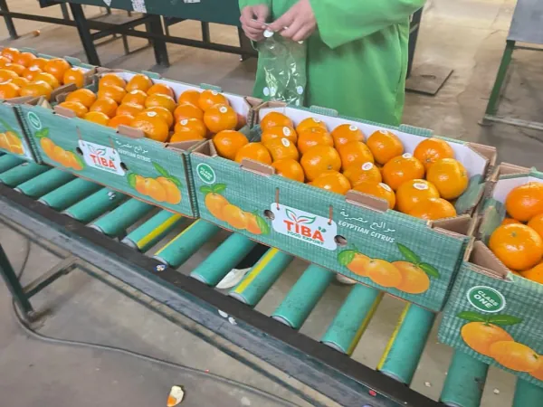 Mandarin crates