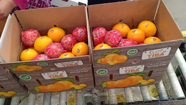 Printed cartons stacked for loading