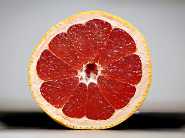 Grapefruit exported from Egypt