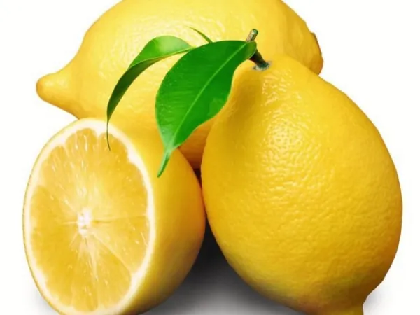 Lemons exported from Egypt