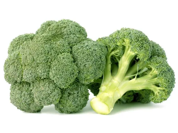 Broccoli exported from Egypt