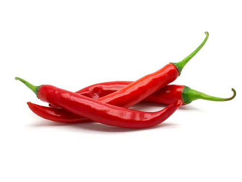 Chilli Peppers exported from Egypt