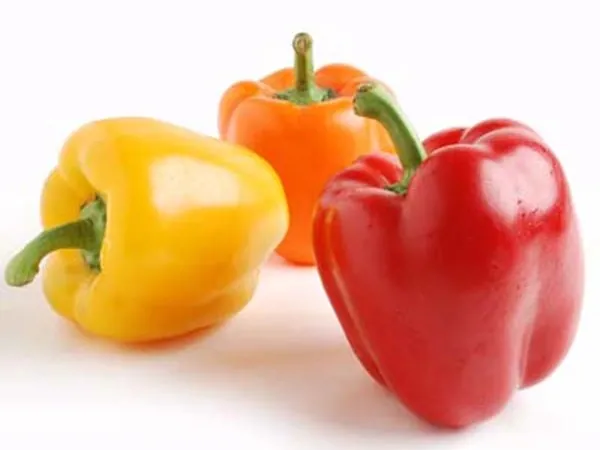 Coloured Capsicum exported from Egypt