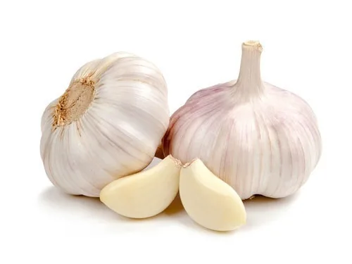 Garlic exported from Egypt