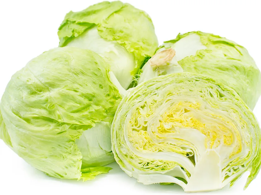 Iceberg Lettuce exported from Egypt